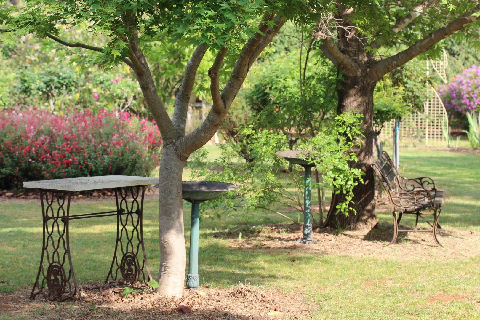 Additional image 3 of 121 Orchard Place, Inverell NSW 2360