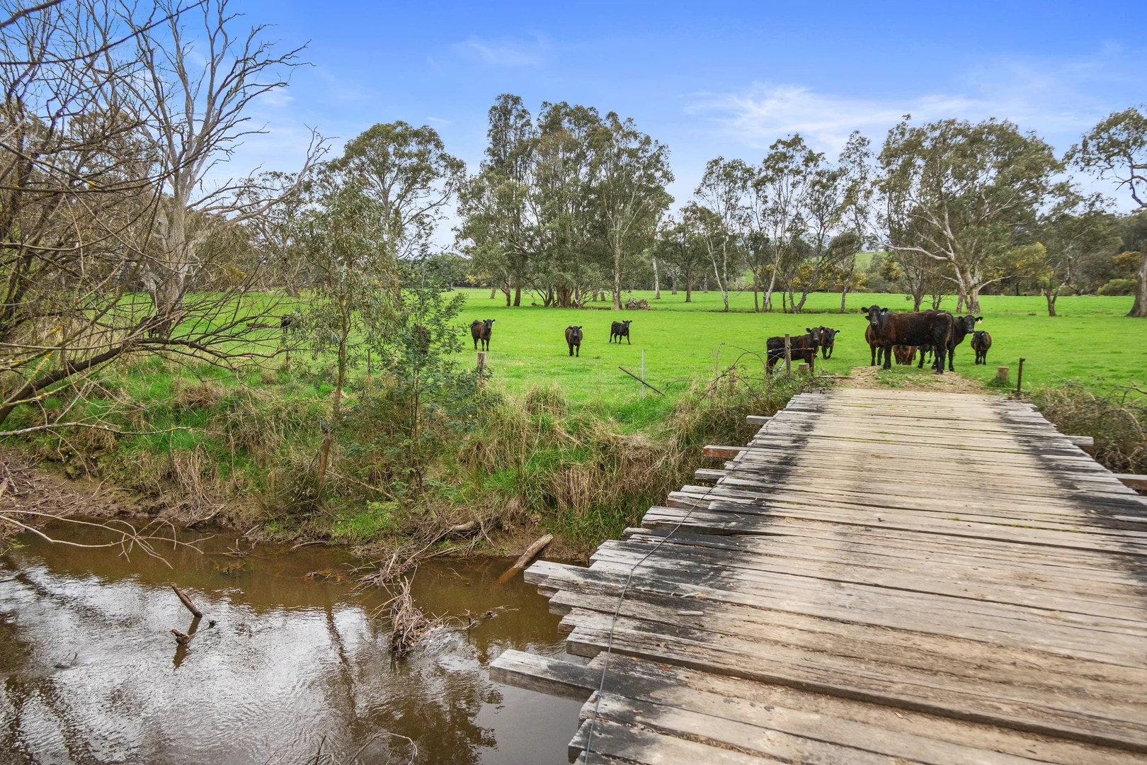 Additional image 6 of 6089 Melba Highway, Yea VIC 3717