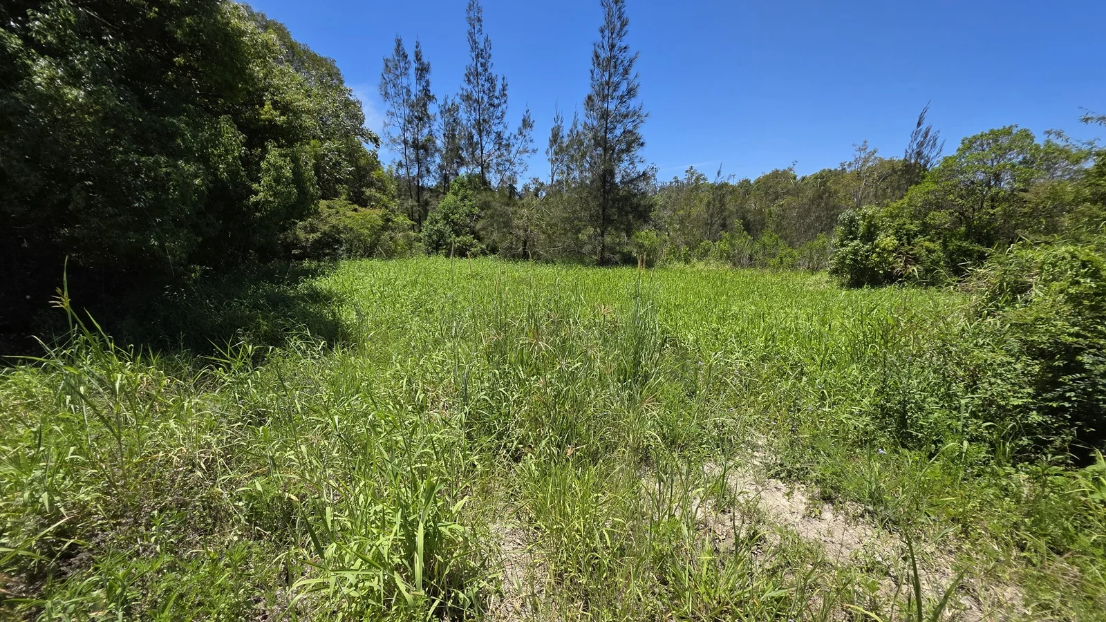 Additional image 7 of 70 North Teven Road, Teven NSW 2478