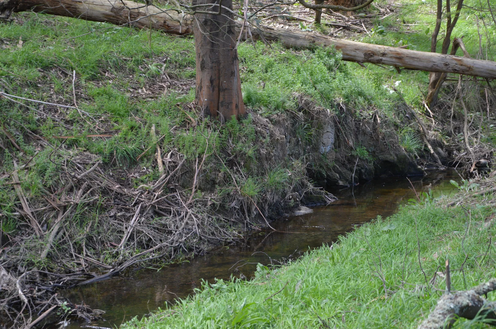 Additional image 24 of 59 Bellview Lane, Korumburra VIC 3950