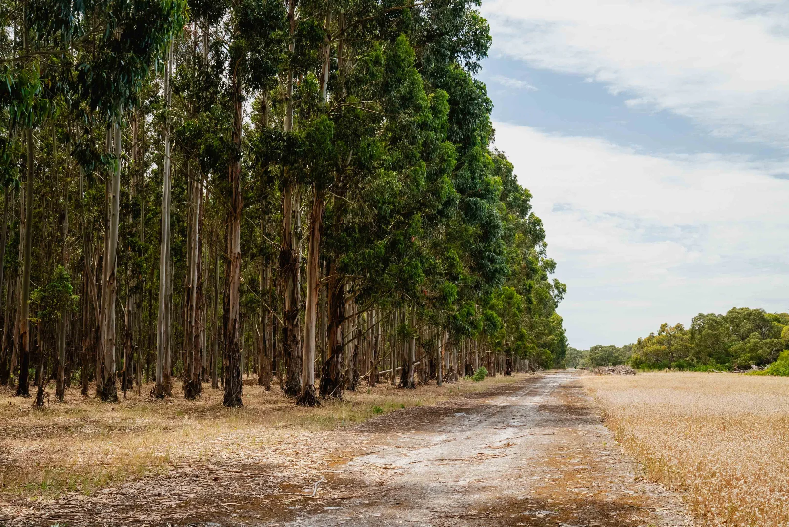 Additional image 12 of Wattle Range SA 5280