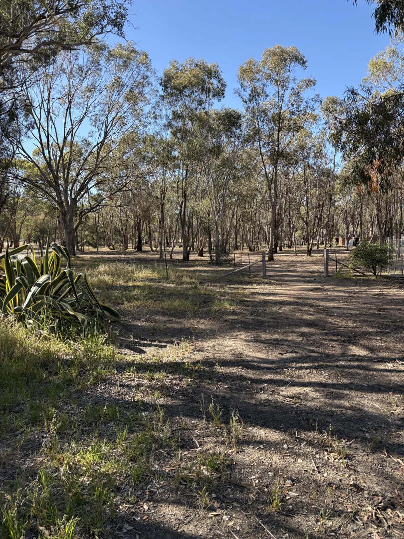 Additional image 3 of 361 High Street, Violet Town VIC 3669