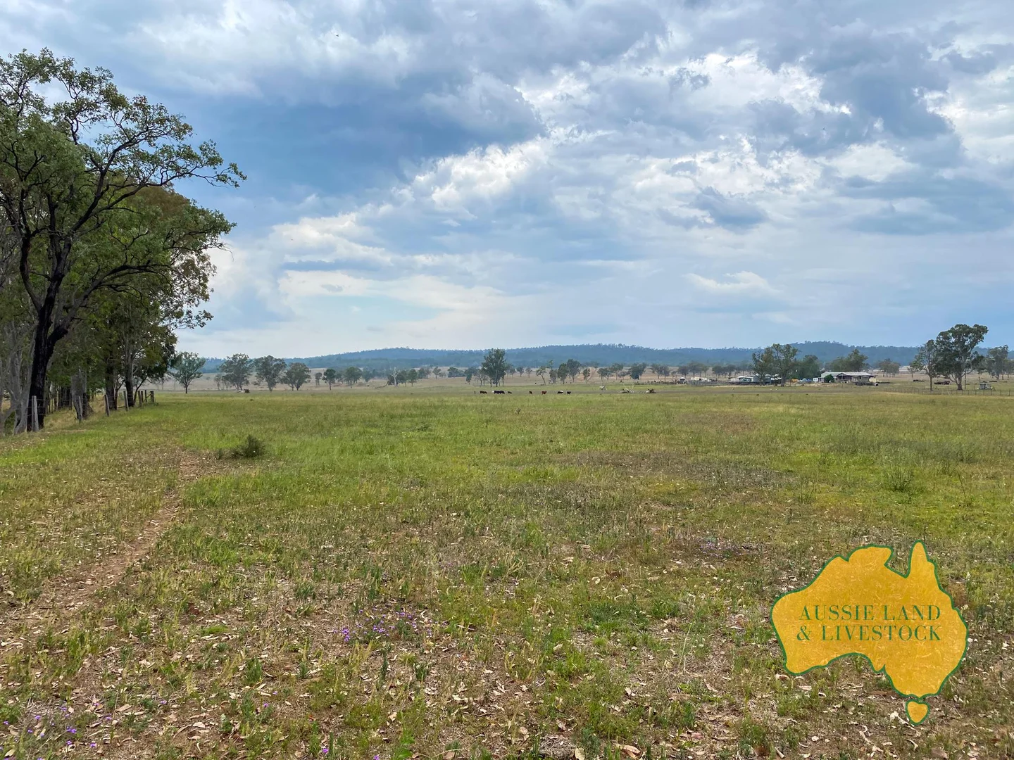 Additional image 26 of 95 Monto Mount Perry Road, Tellebang QLD 4630