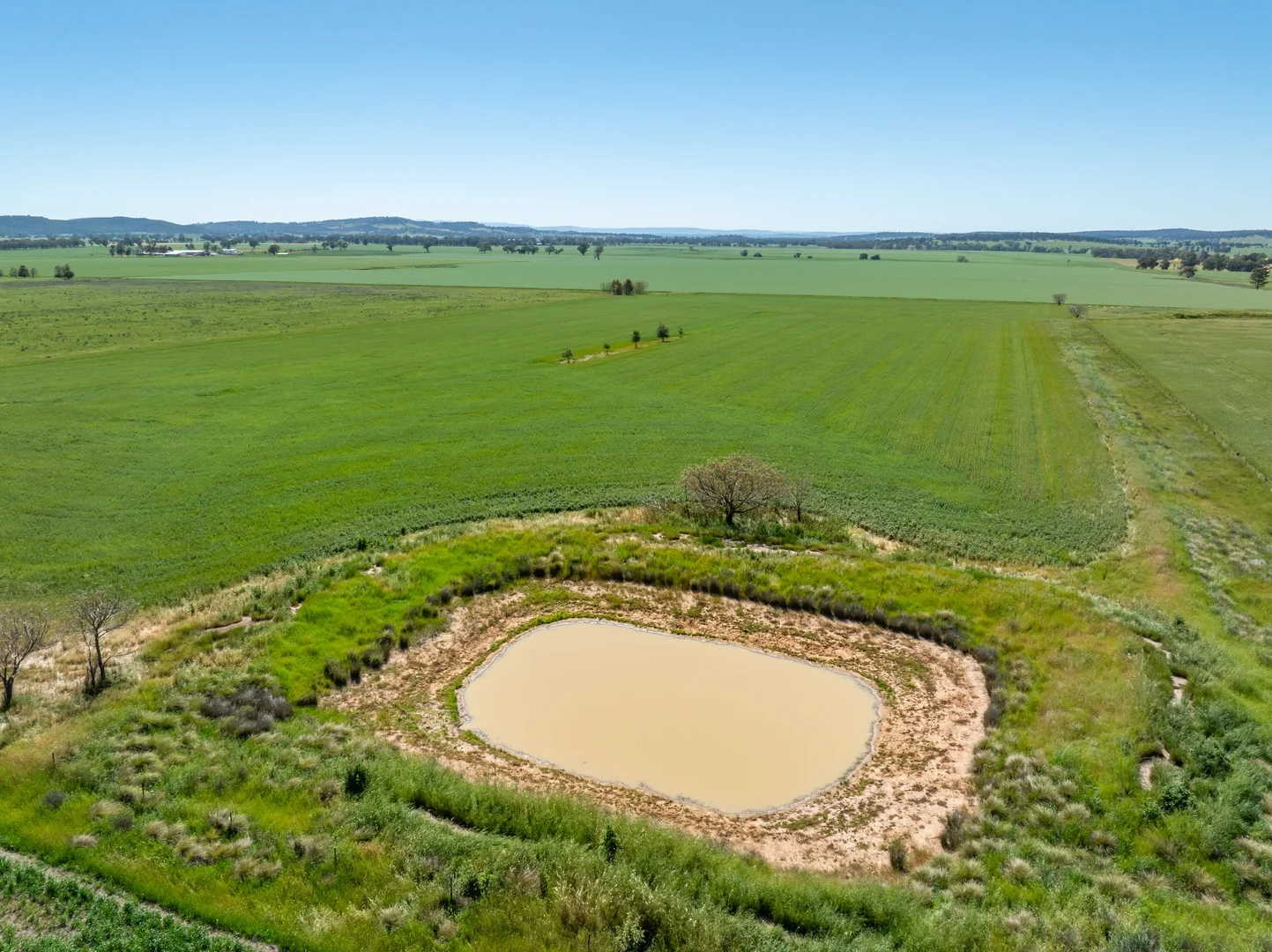 Additional image 27 of 92 Campbells Lane, Canowindra NSW 2804