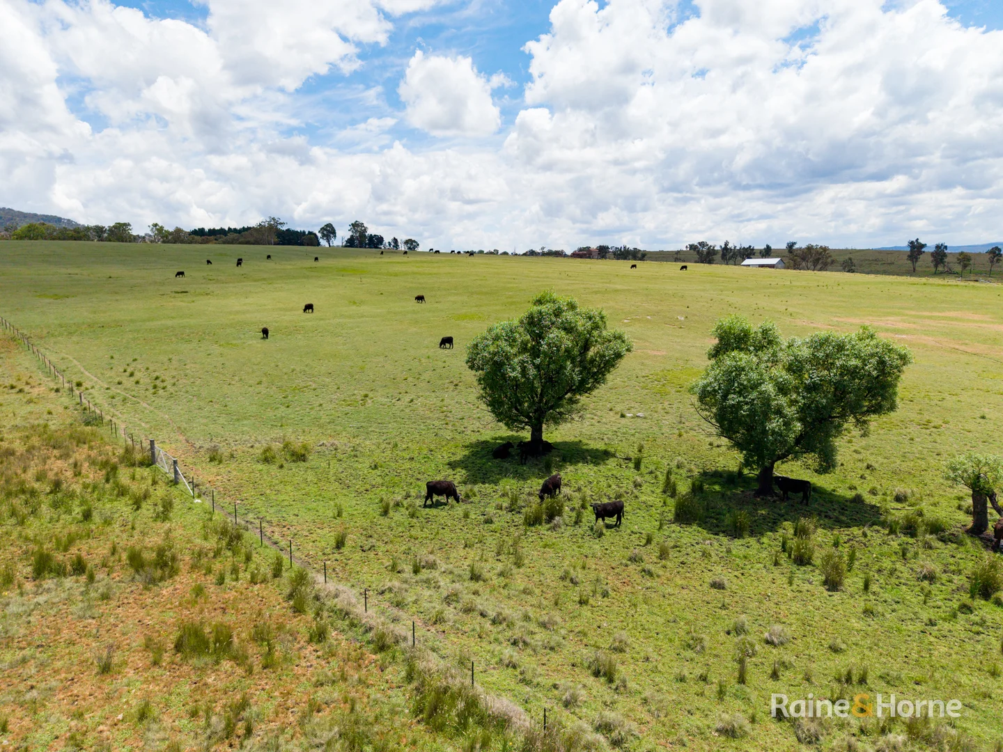 Additional image 30 of 8654A New England Highway, Tenterfield NSW 2372