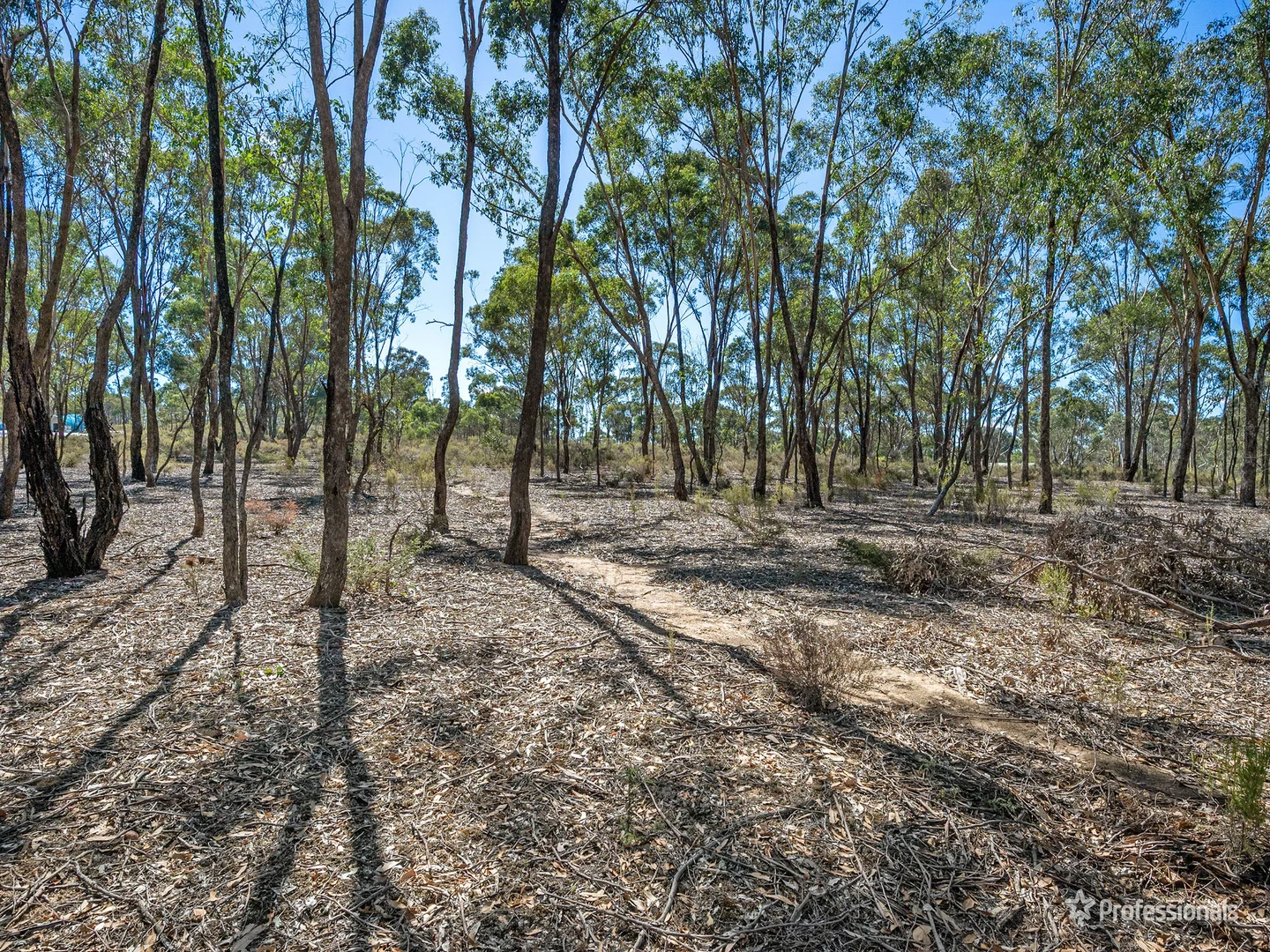 Additional image 2 of 224 Moonlight Road, Moonlight Flat VIC 3465