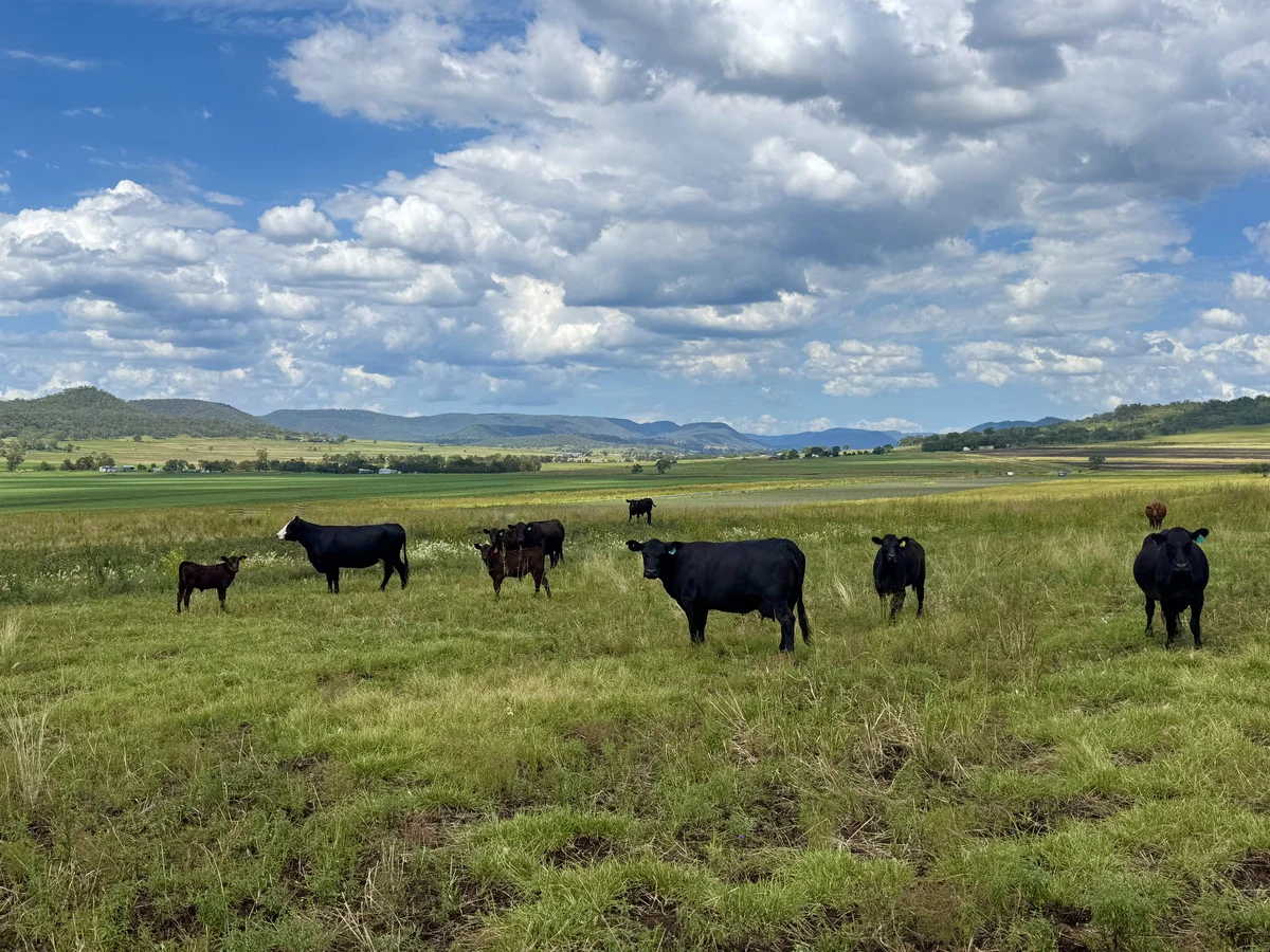 Additional image 17 of 742 Goomburra Road, Berat QLD 4362