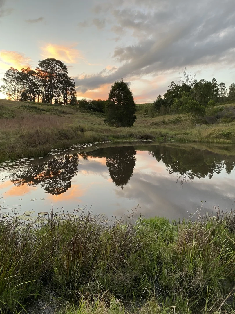 Additional image 10 of 212A Norries Road, Bunyah NSW 2429
