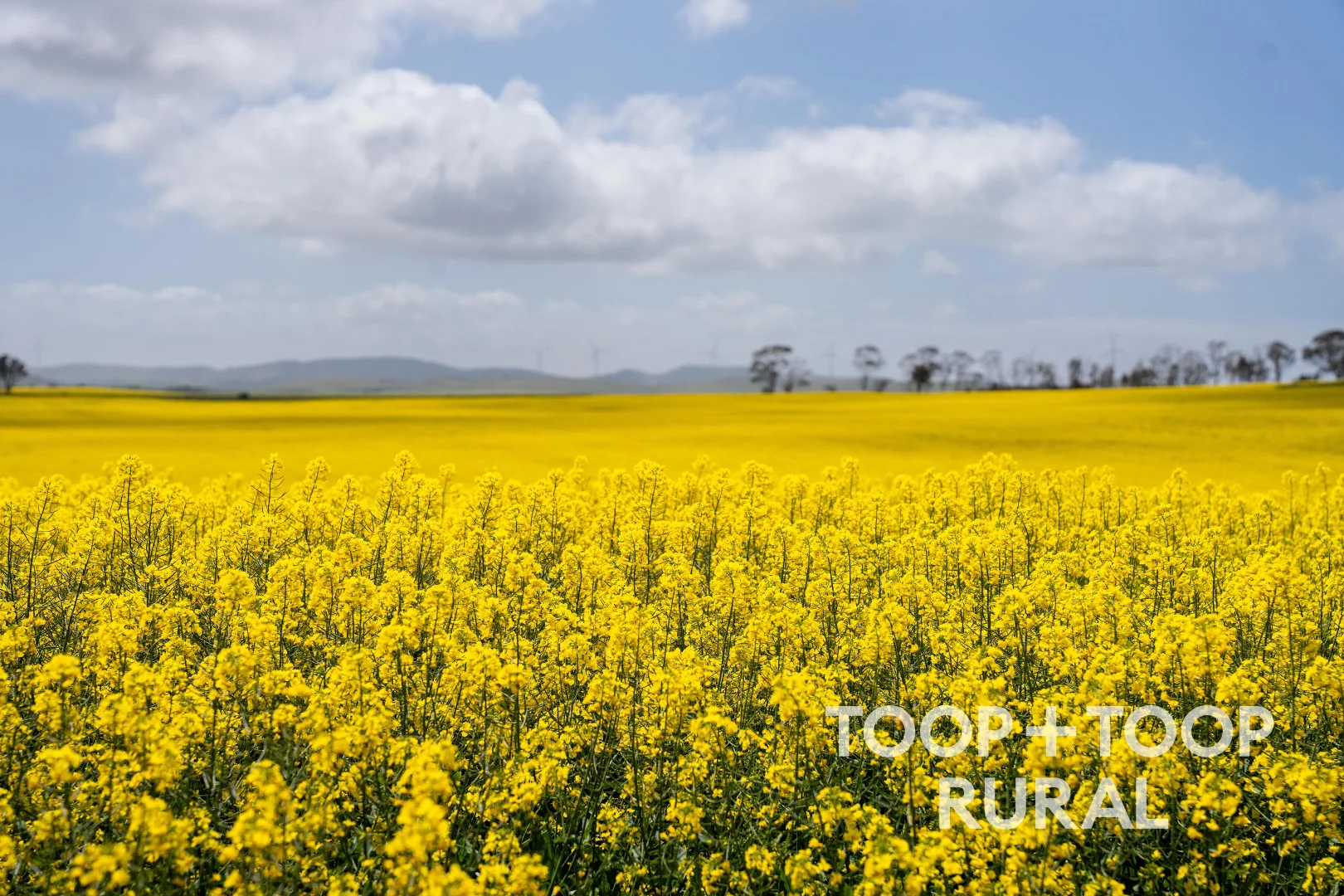 Additional image 7 of Hardings Road, Black Springs SA 5413