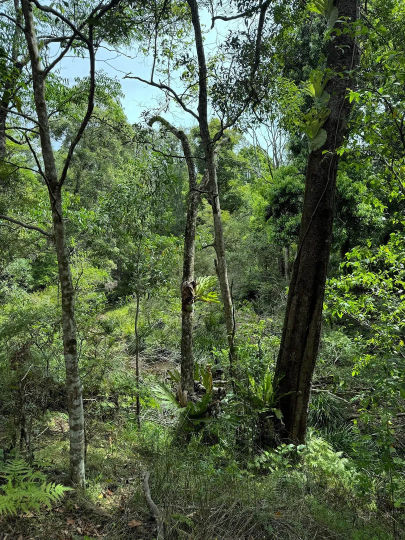 Additional image 34 of 5 Tanby Court, Mudgeeraba QLD 4213