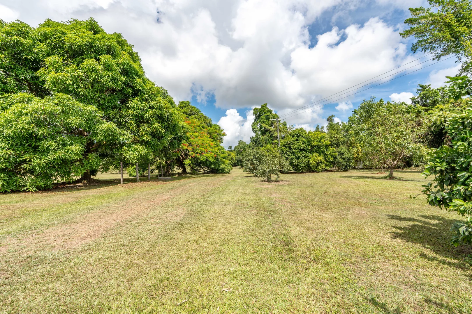 Additional image 36 of 39 O'Hanlon Rd, Feluga QLD 4854