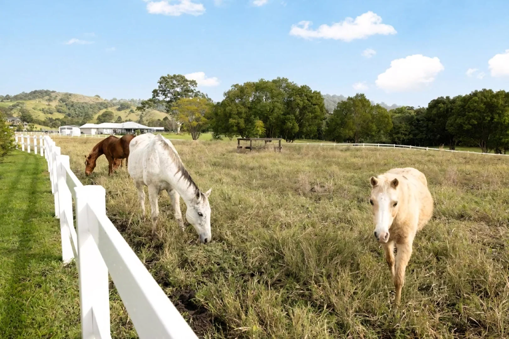 Additional image 32 of 53 Yvonne Street, Highworth QLD 4560