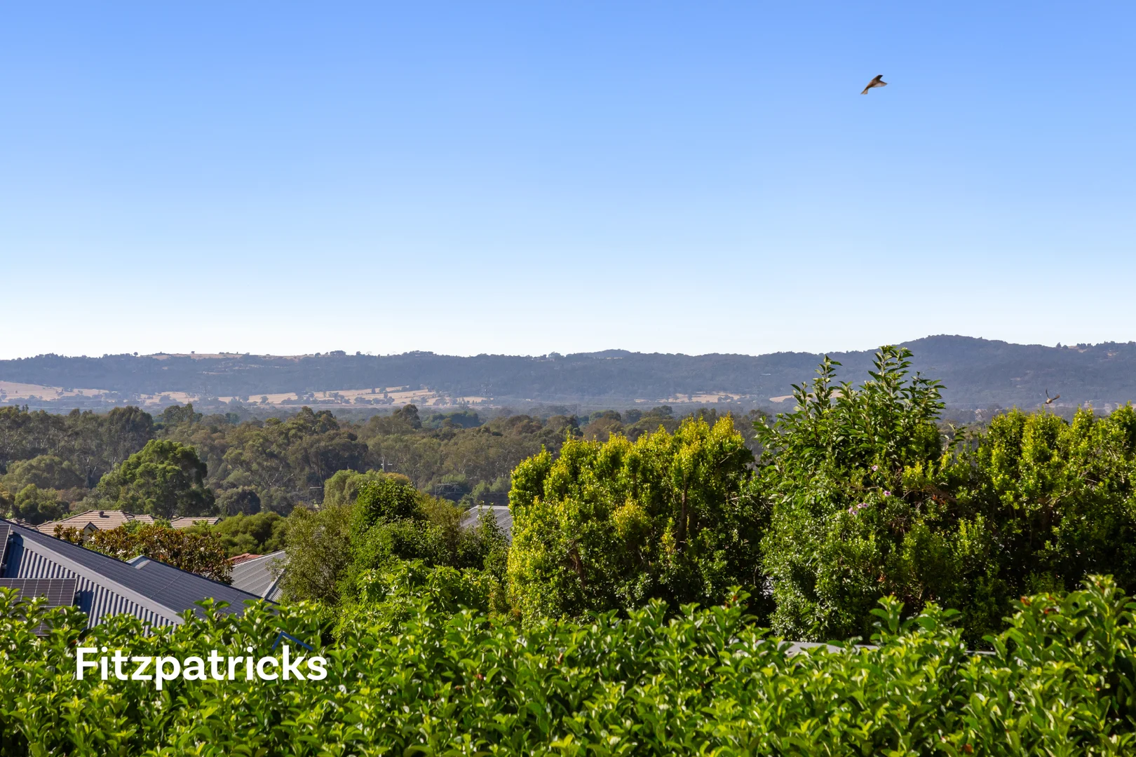 Additional image 36 of 72 Atherton Crescent, Tatton NSW 2650