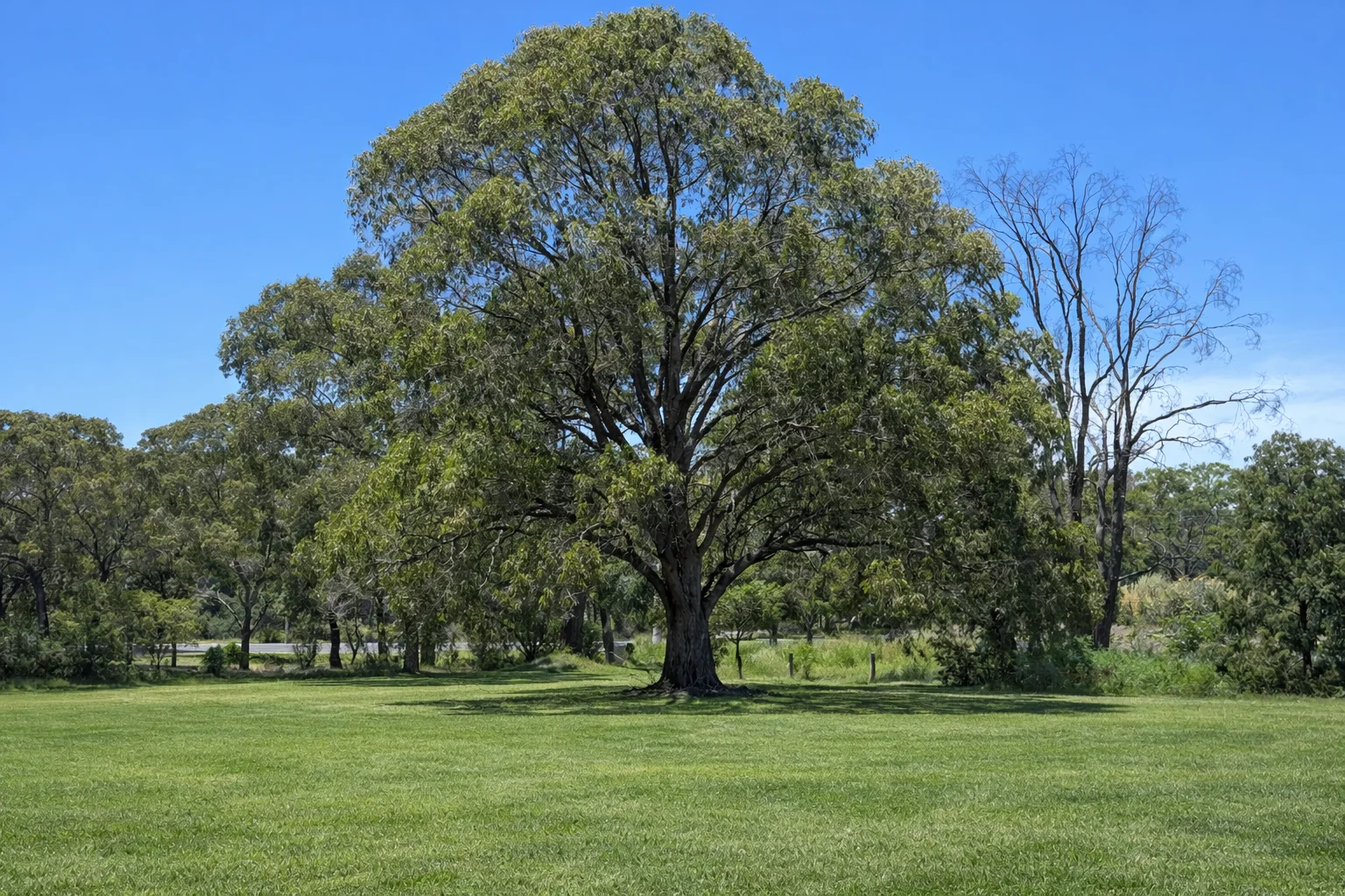 Additional image 7 of 590 Ogradys Road, Wandong VIC 3758
