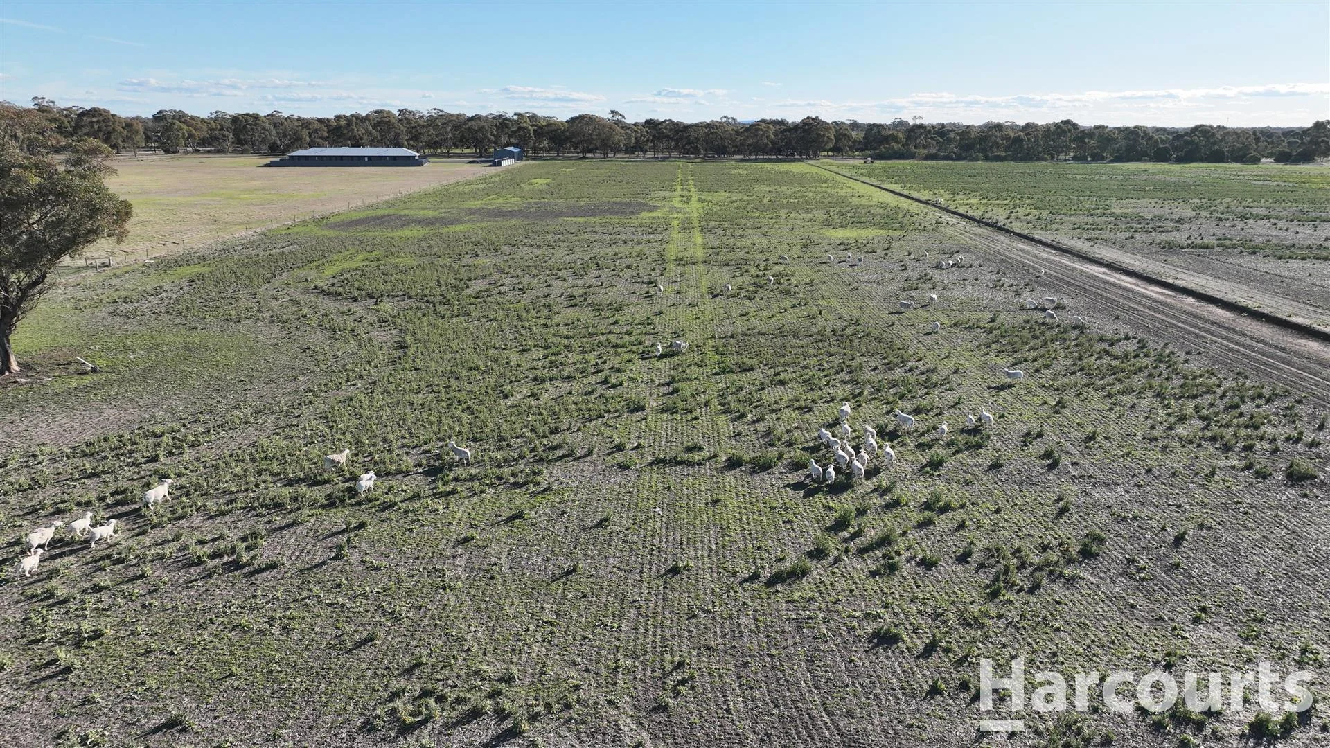 Additional image 11 of 435 Old Hamilton Road, Haven VIC 3401