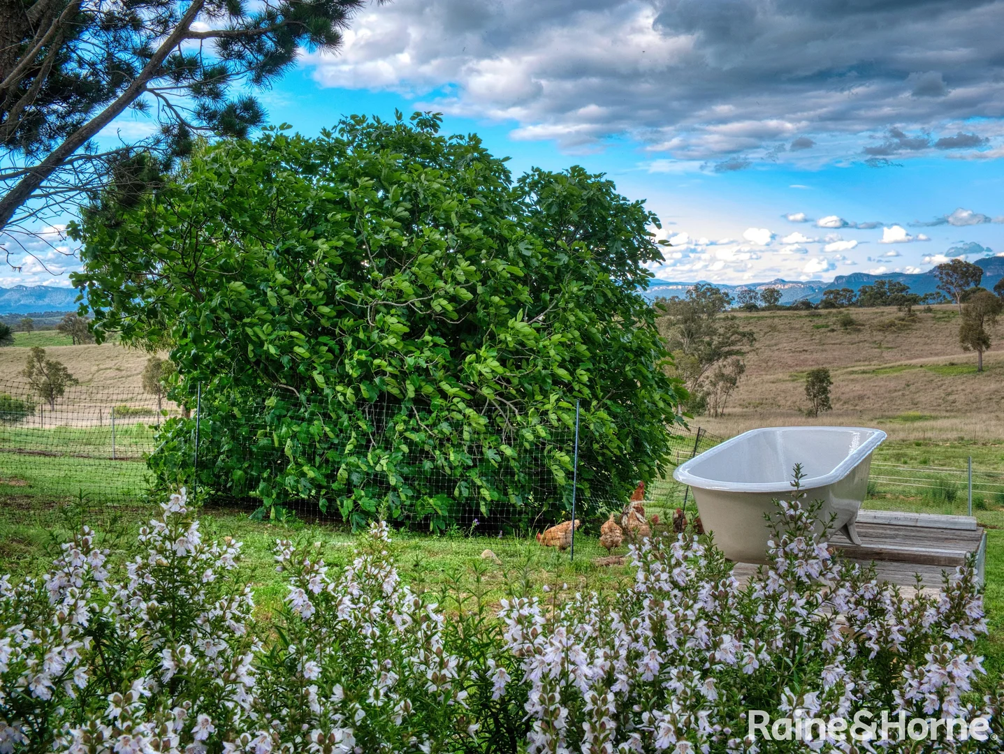 Additional image 22 of 129 Crown Station Road, Glen Davis NSW 2846