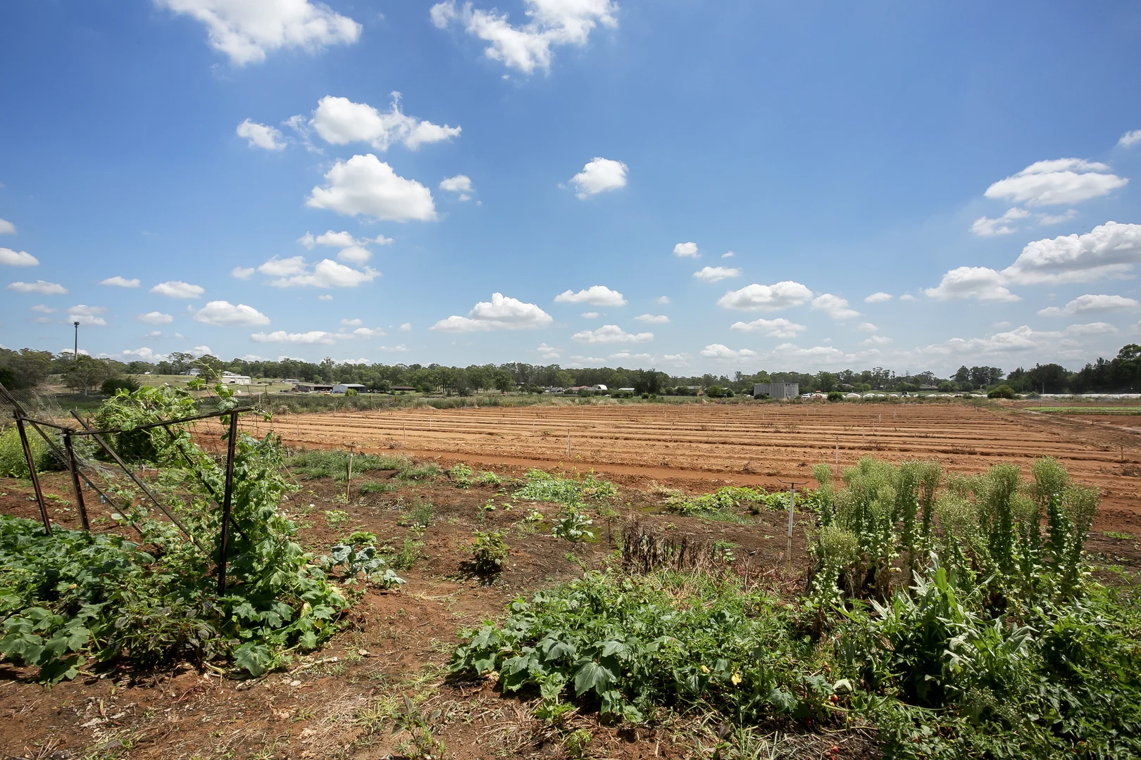 Additional image 15 of 150 Sixth Avenue, Llandilo NSW 2747