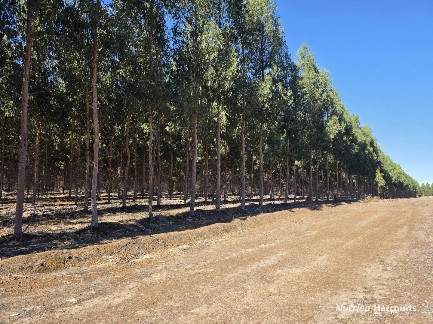 Additional image 20 of 1578 Yellanup Road, Narrikup WA 6326