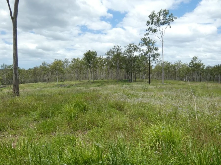 Additional image 18 of Lot 43 Moolyung Road, Waterloo QLD 4673