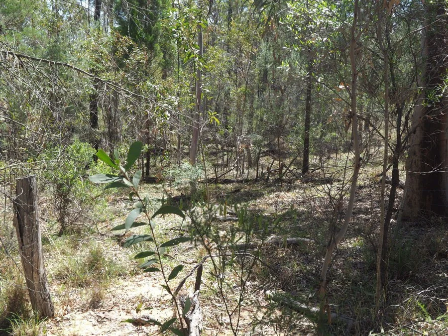 Additional image 10 of Lot 23 Melrose Estate Road, Warialda NSW 2402
