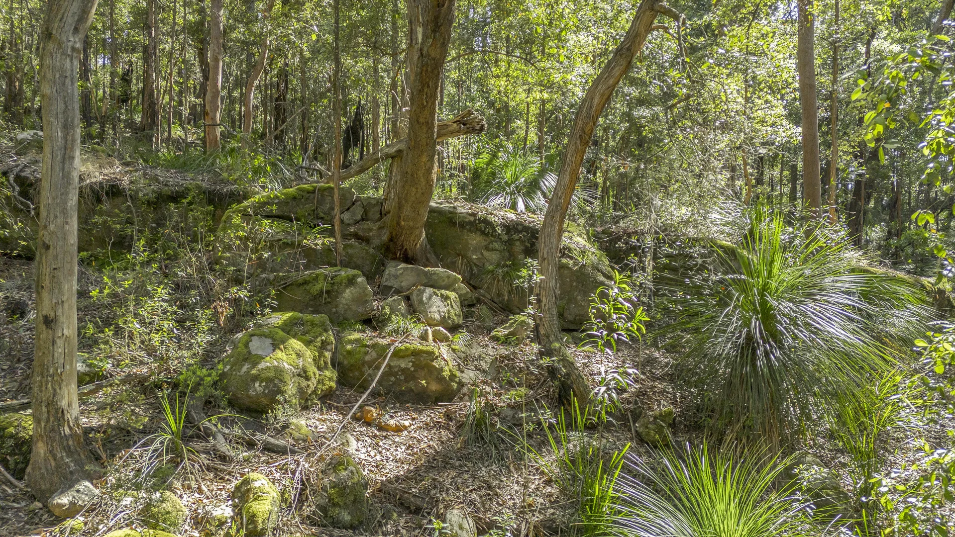 Additional image 11 of 167 Burralow Road, Kurrajong Heights NSW 2758