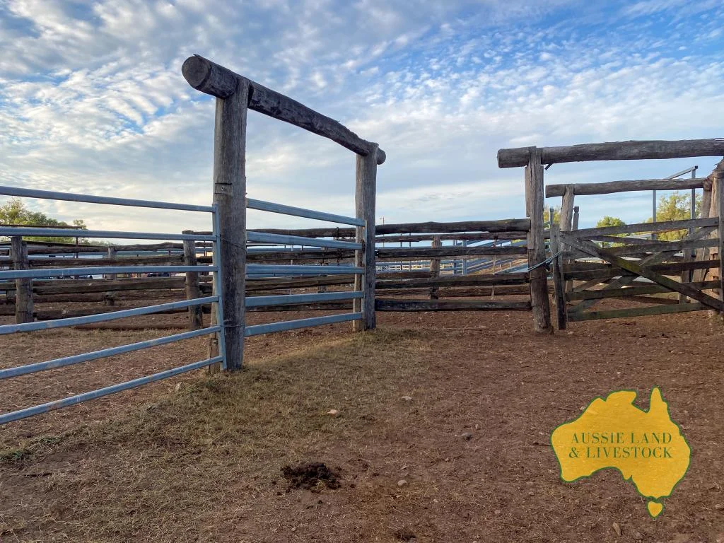 Additional image 58 of 2360 MONTO MOUNT PERRY ROAD, Yarrol QLD 4630