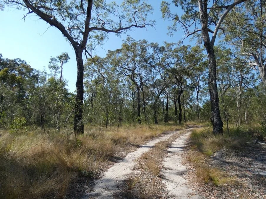 Additional image 32 of 641 Capricornia Drive, Deepwater QLD 4674