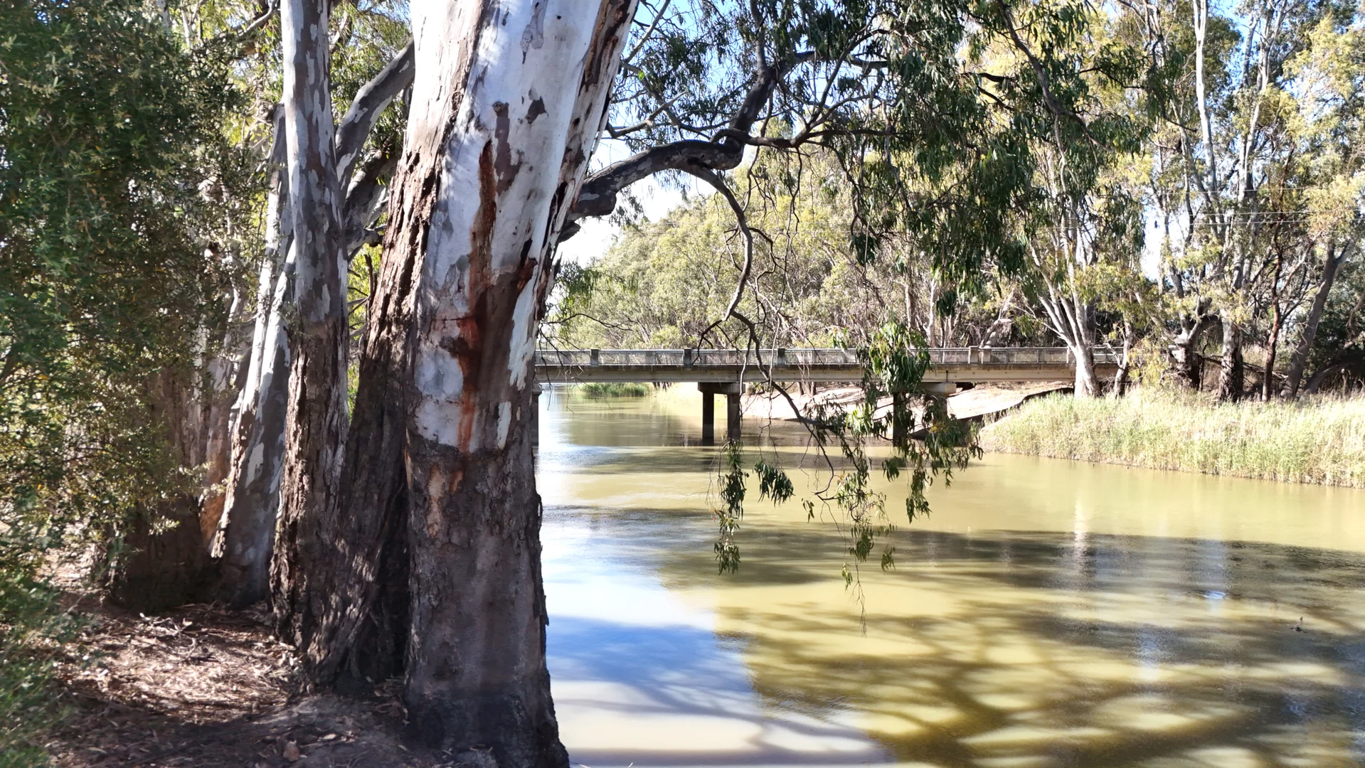 Additional image 19 of 2A Harrods Lane, Swan Hill VIC 3585