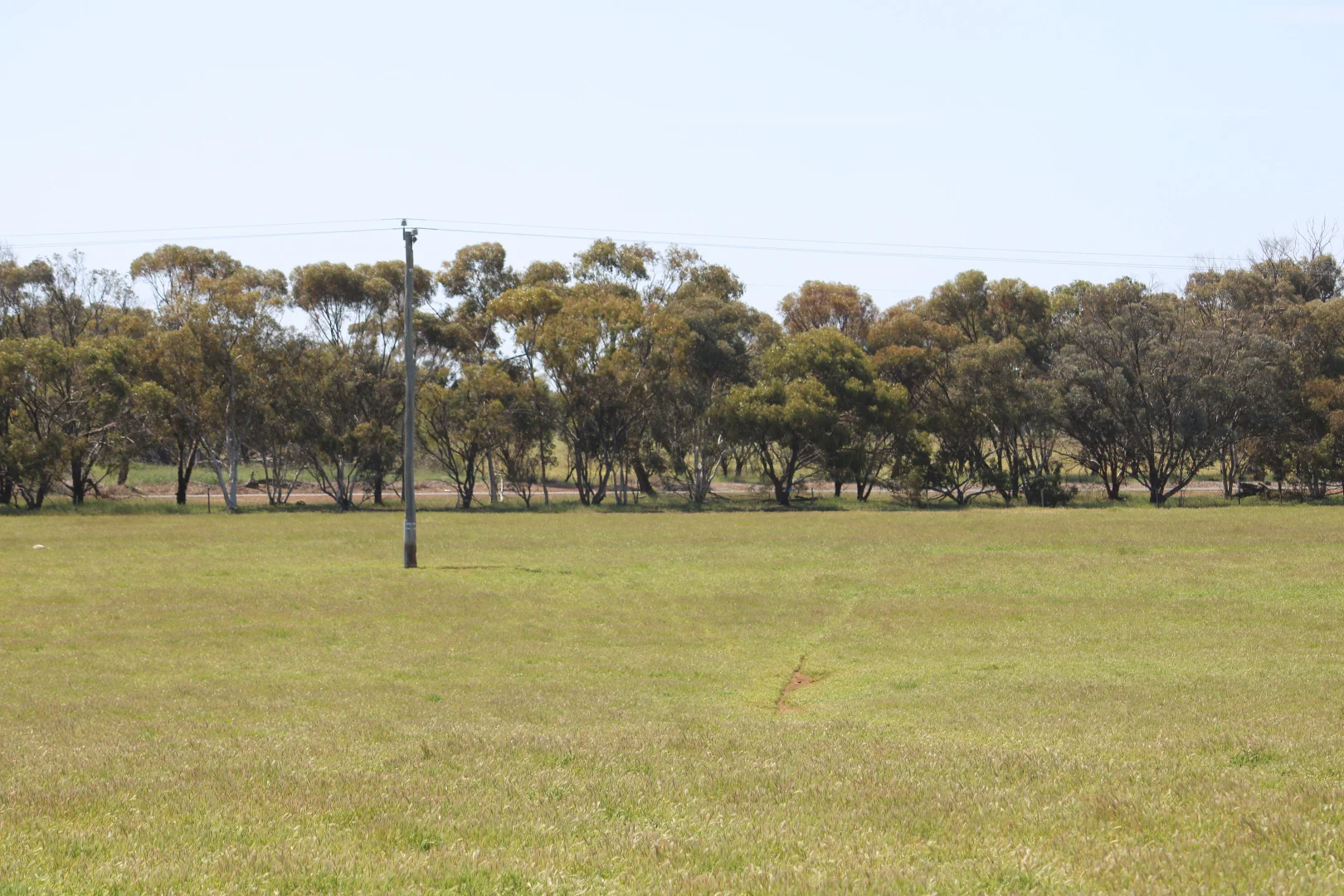 Additional image 12 of 256 WAGIN-DUMBLEYUNG ROAD, Wagin WA 6315