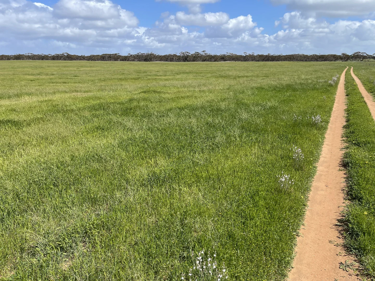 Additional image 2 of Lot 18 Tod Highway, Warramboo SA 5650