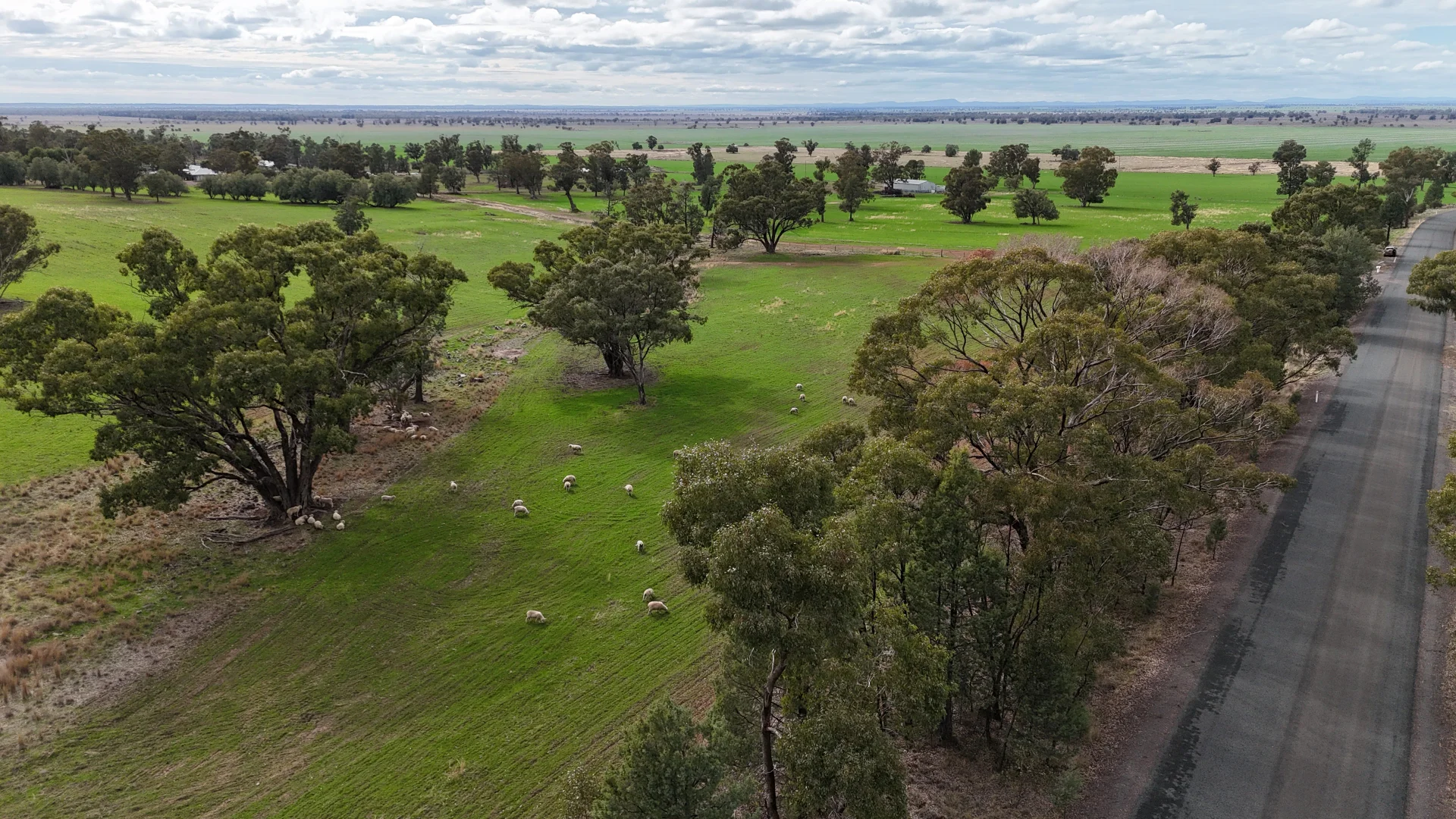 Additional image 4 of 877 Mount Tallabung Road, Forbes NSW 2871