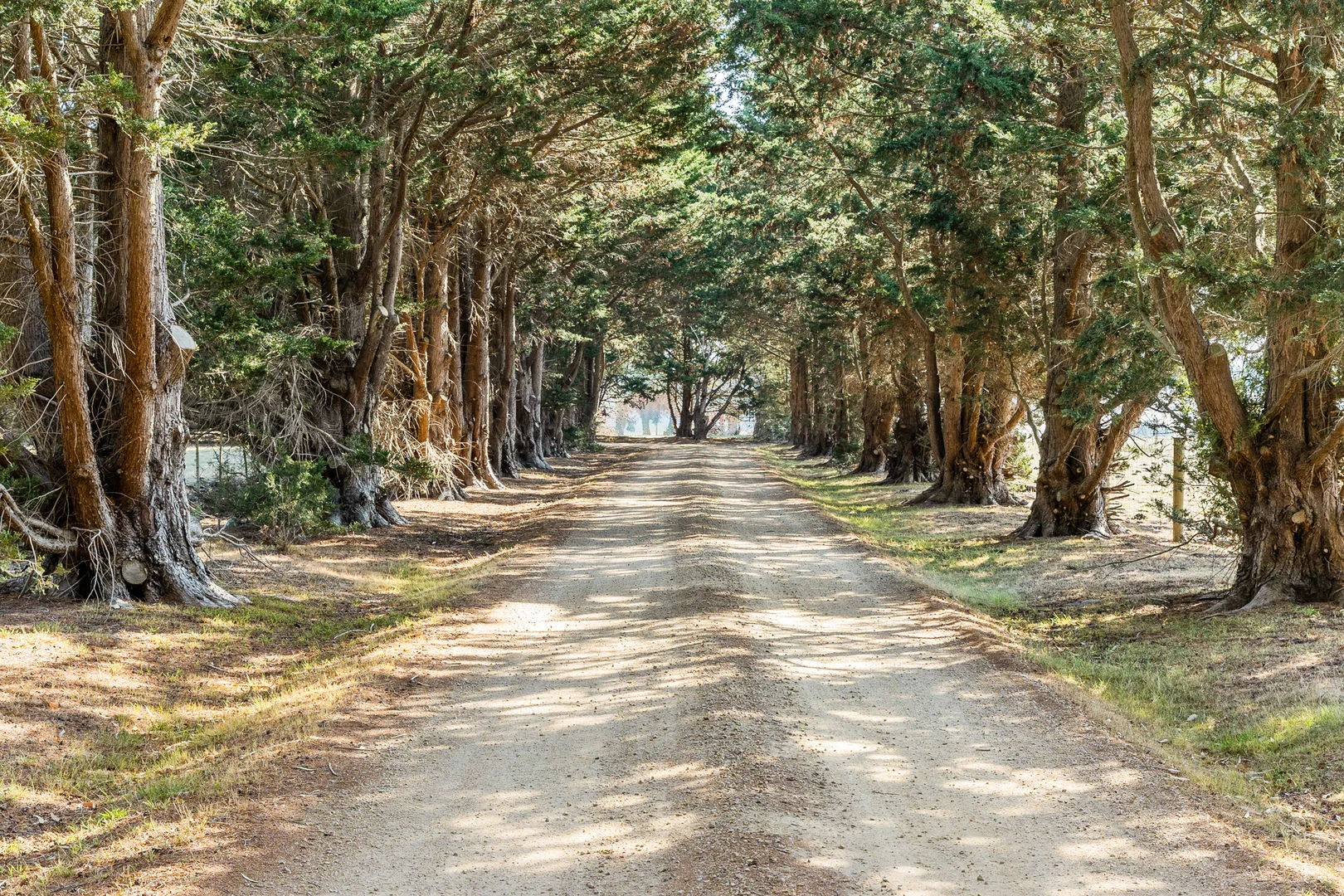 Additional image 3 of 22 Luxton Drive, Somers VIC 3927