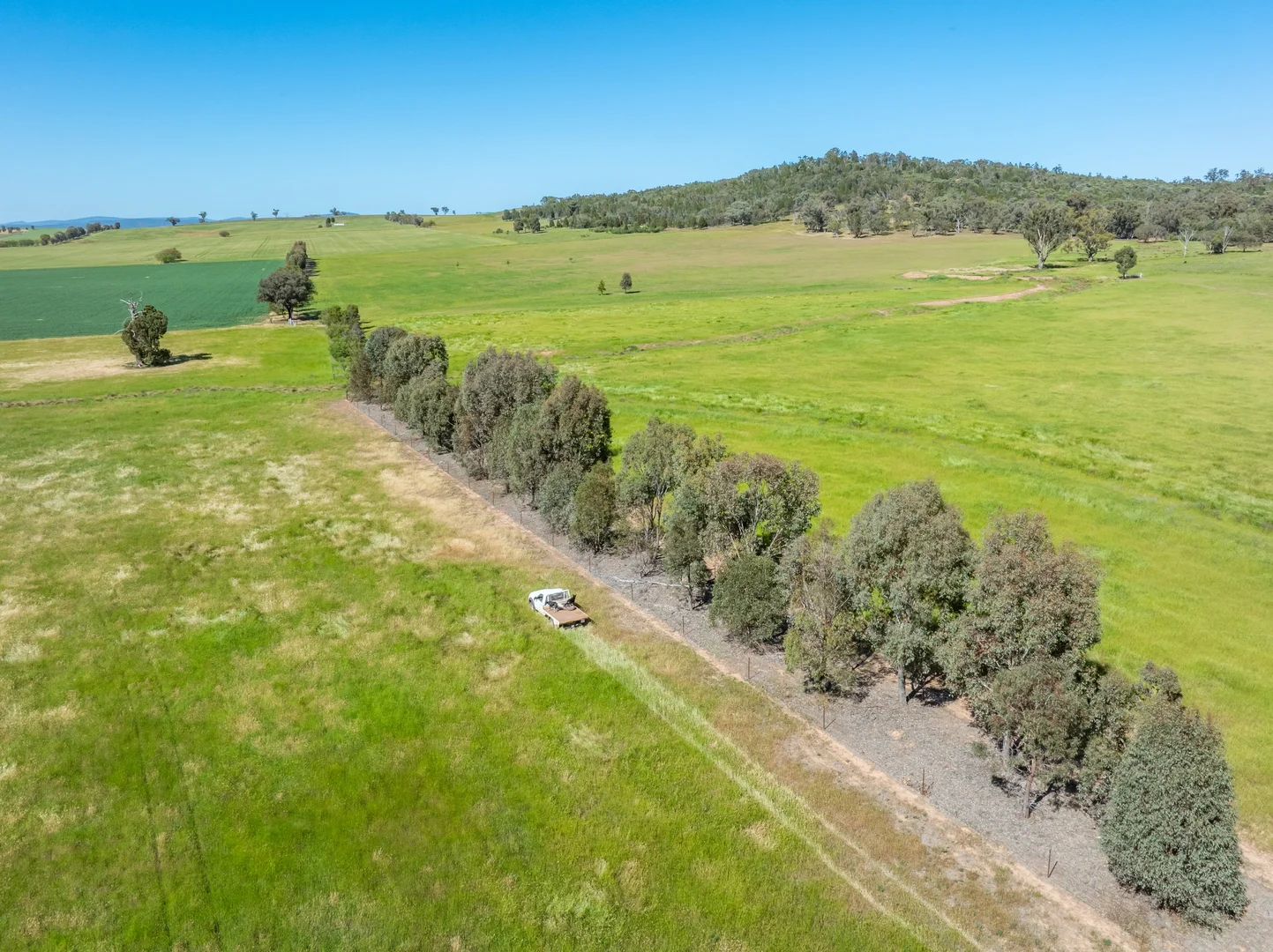 Additional image 33 of 92 Campbells Lane, Canowindra NSW 2804