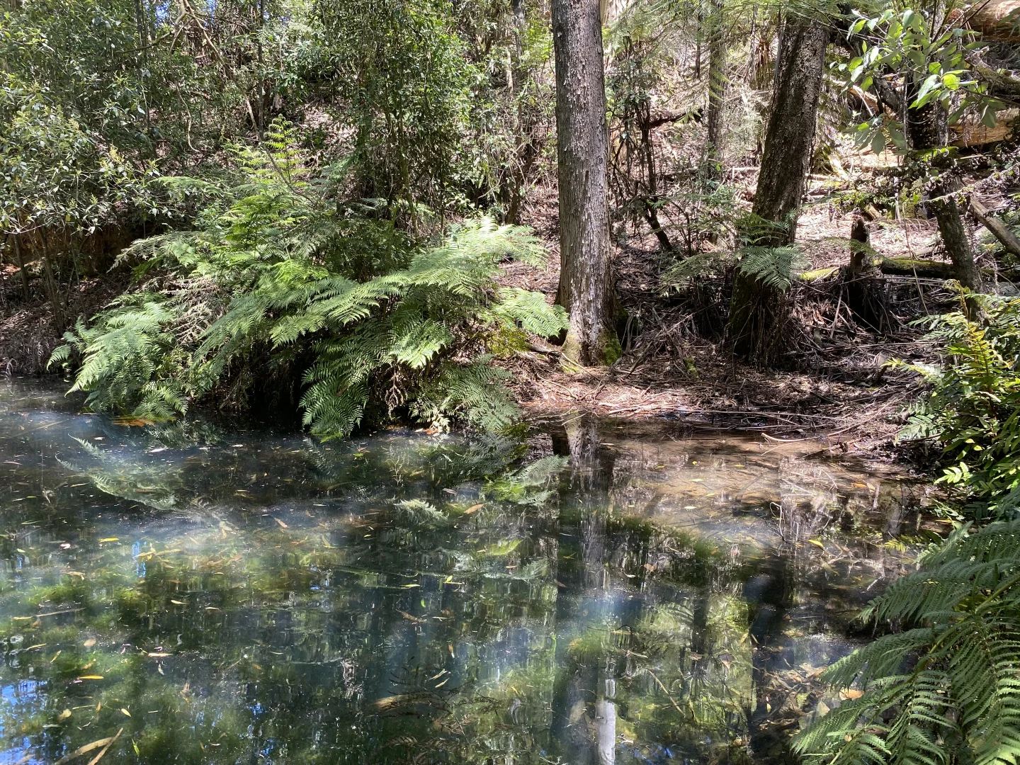 Additional image 17 of 486 Extons Road, Kinglake Central VIC 3757