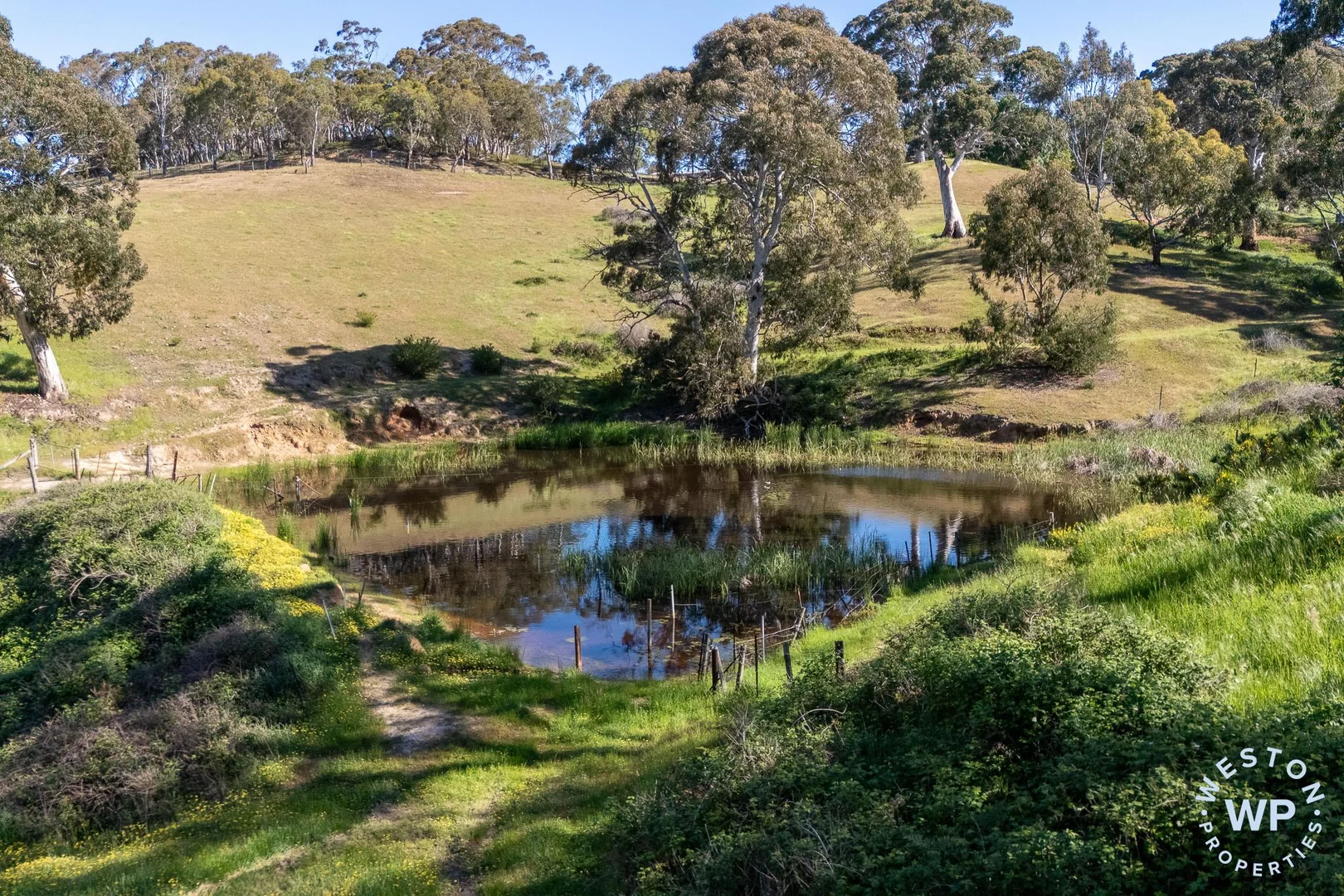 Additional image 30 of 371 Hawthorn Road, Echunga SA 5153