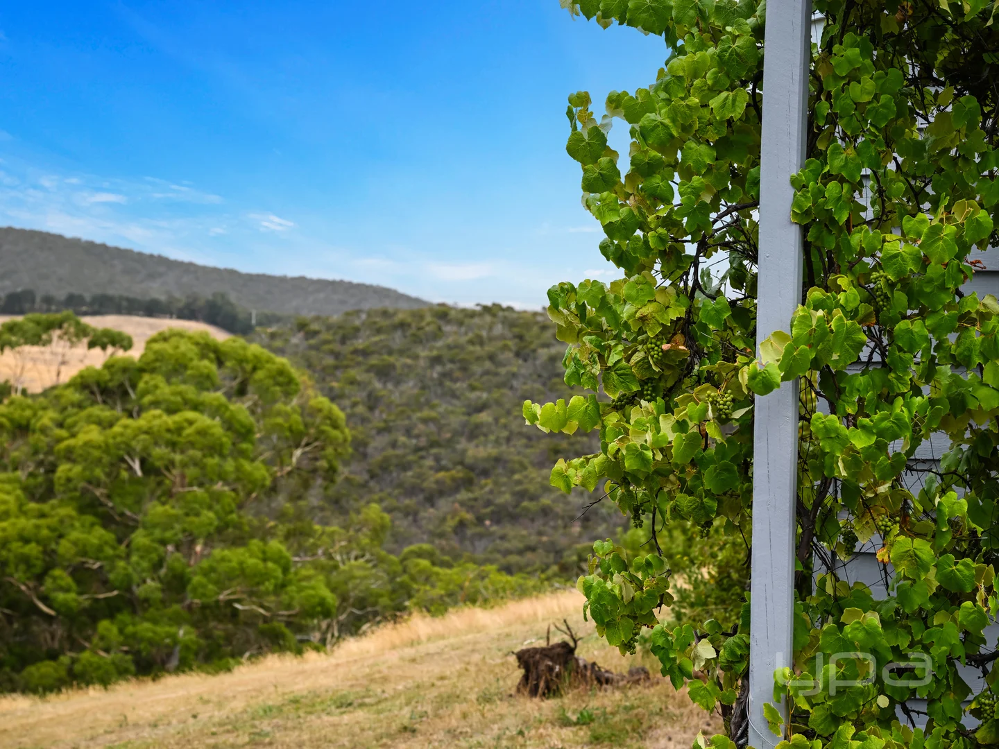 Additional image 28 of 231 Gisborne - Melton Road, Toolern Vale VIC 3337