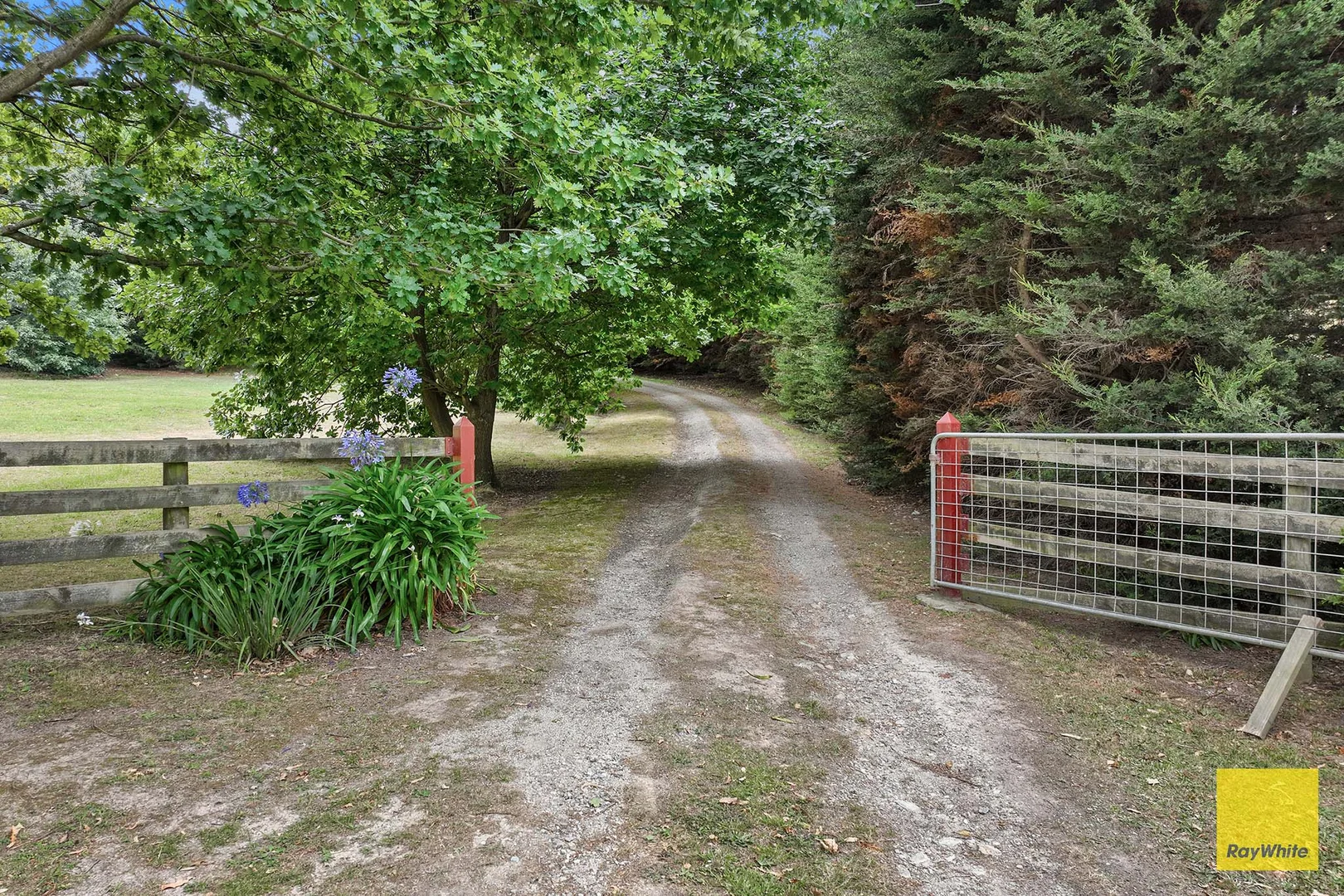 Additional image 3 of 5165 South Gippsland Highway, Toora VIC 3962