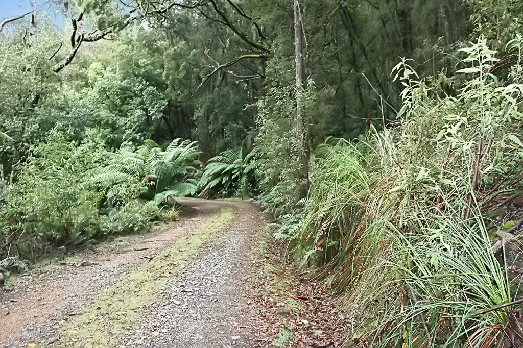 Additional image 3 of PID 7682518 Mount Elephant Road, Gray TAS 7215