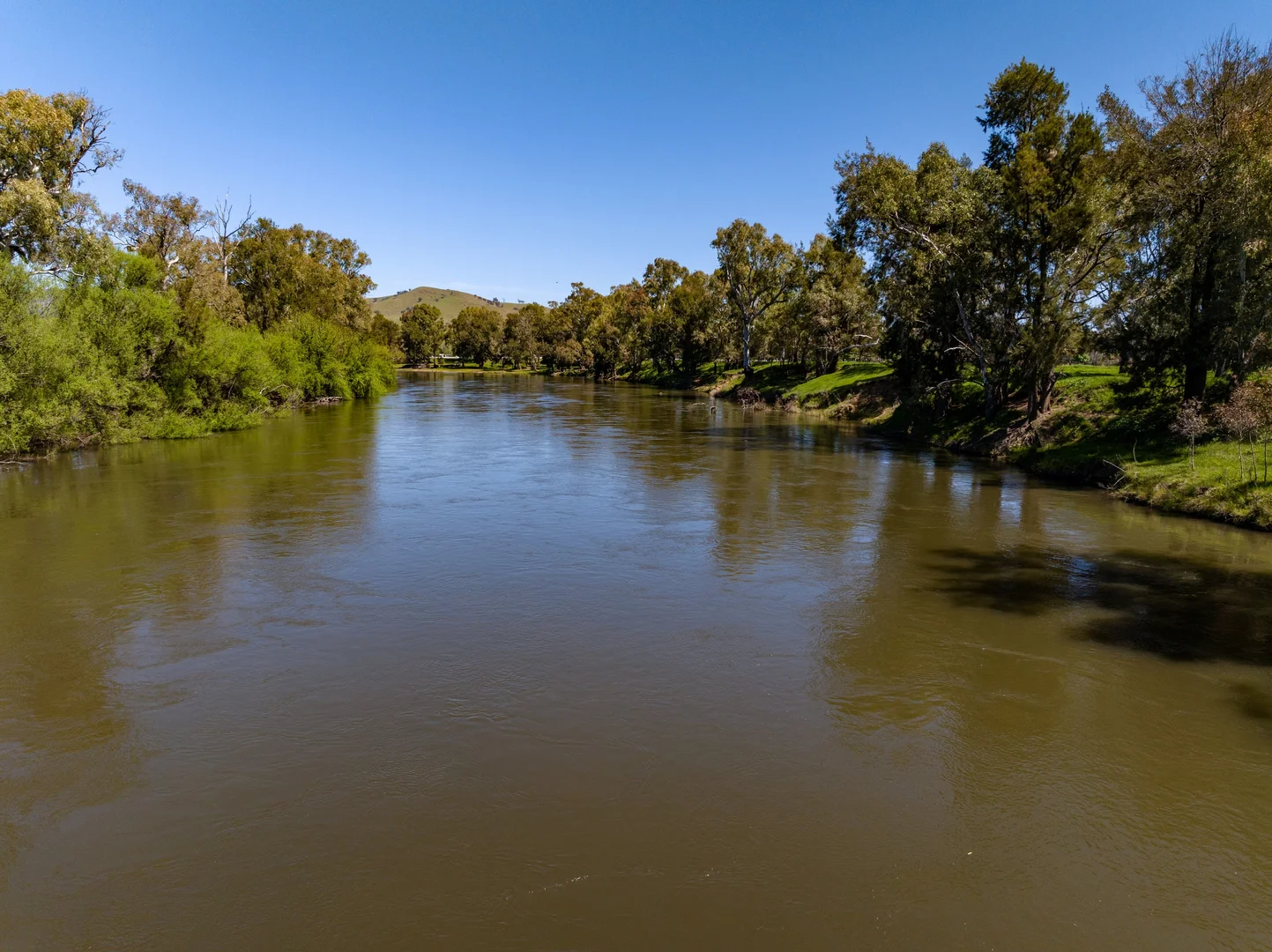 Additional image 21 of 44 Dodd Street, Gundagai NSW 2722