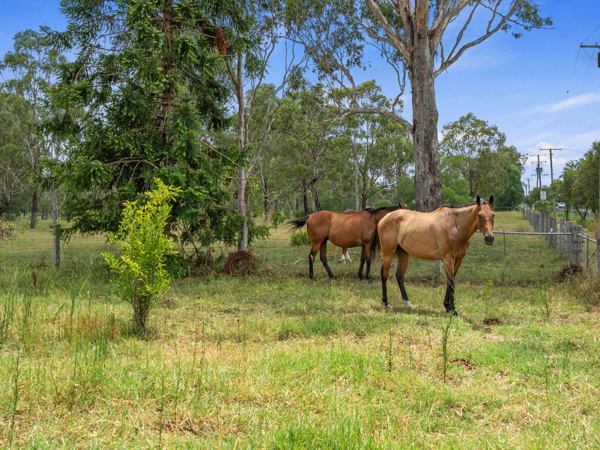 Additional image 19 of 421-431 Haigslea Amberley Road, Walloon QLD 4306