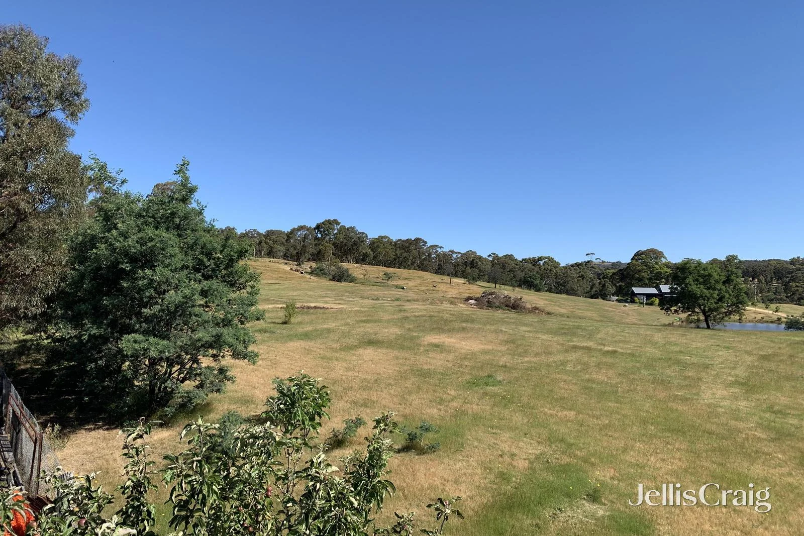 Additional image 11 of 349 Hepburn Newstead Road, Shepherds Flat VIC 3461