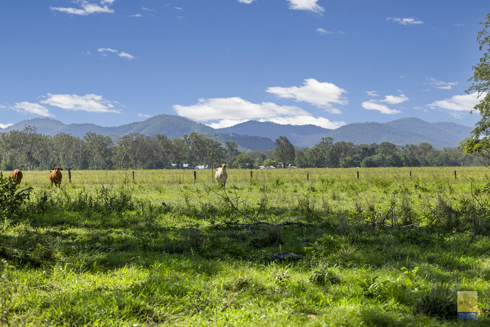 Additional image 21 of 85 Colinwood Lane, Boyne Valley QLD 4680