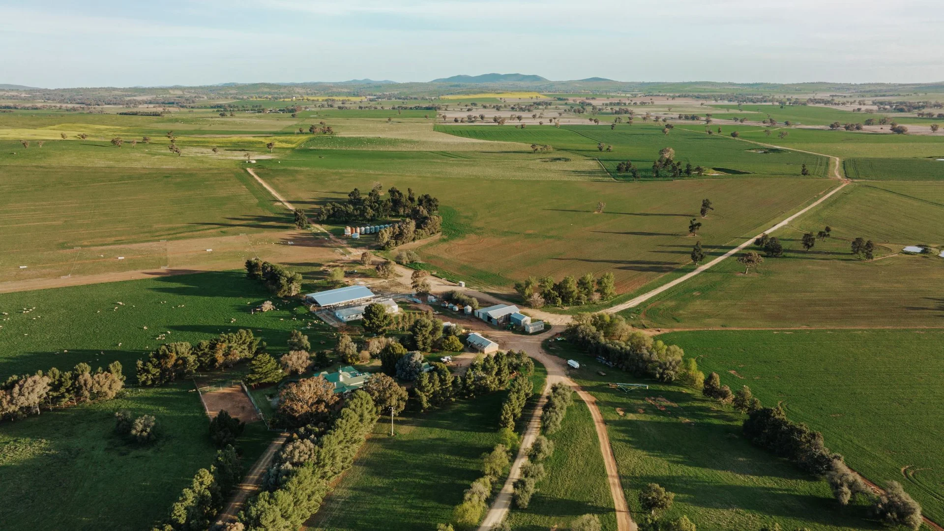 Additional image 42 of 1679 Stockinbingal Road, Cootamundra NSW 2590