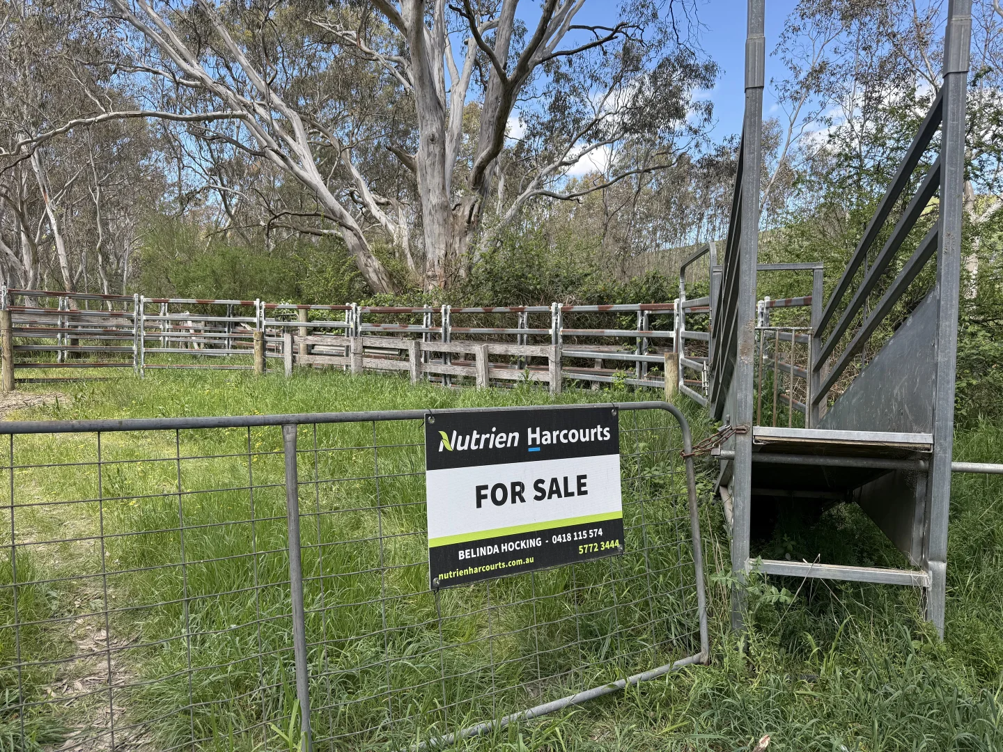Additional image 5 of 85 Halls Flat Road, Alexandra VIC 3714