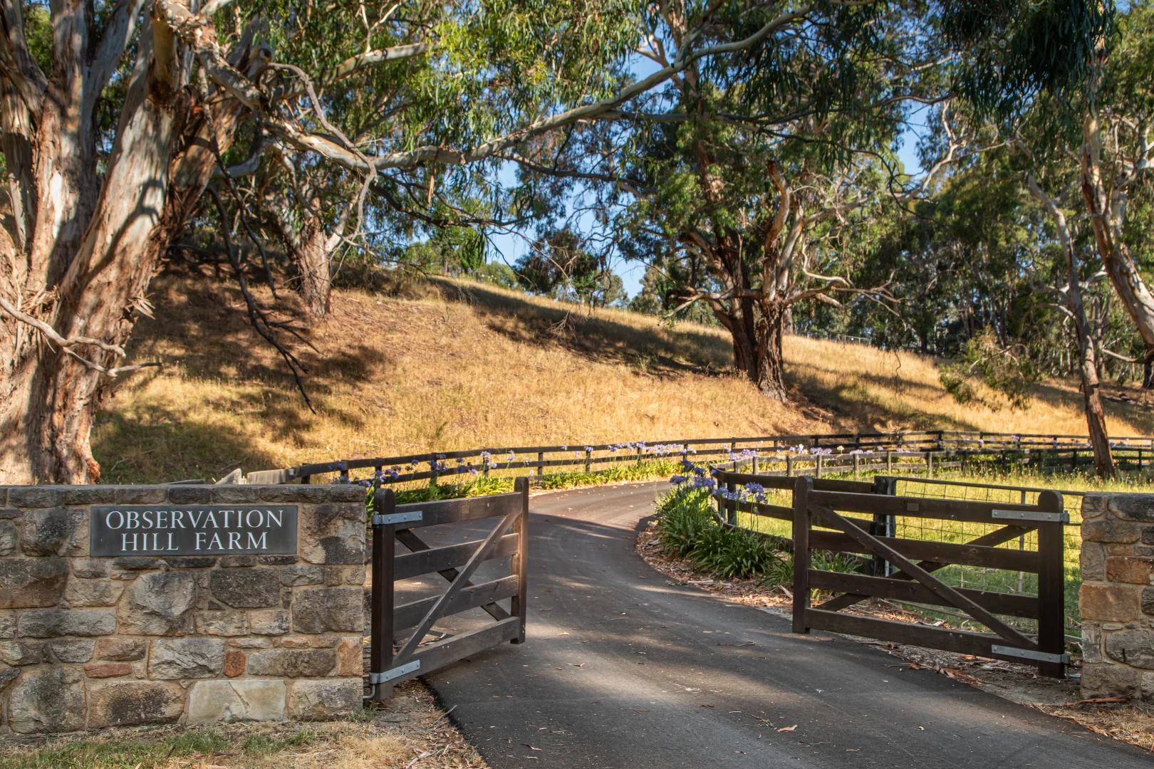 Additional image 37 of 2429A Greenhill Road, Balhannah SA 5242