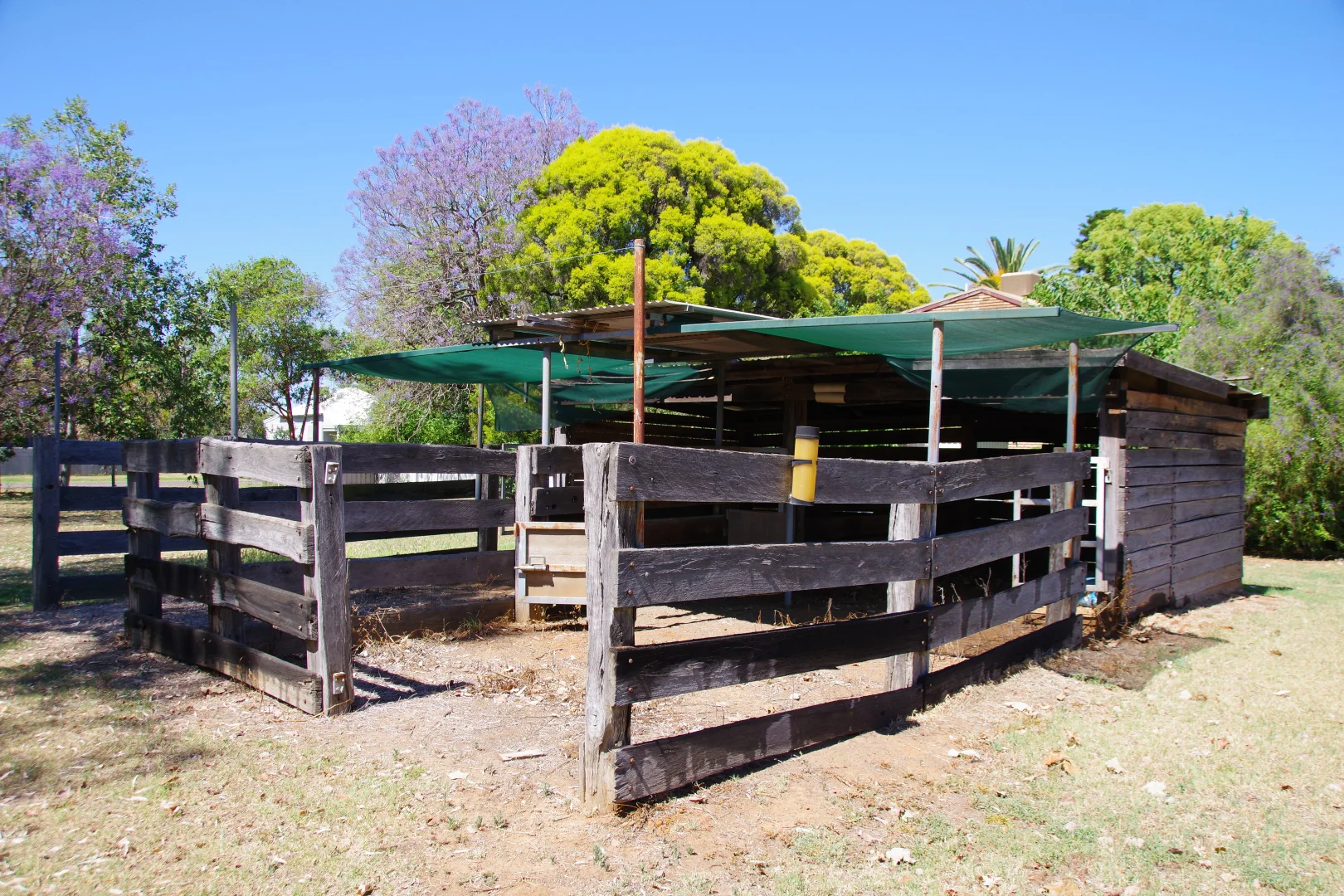 Additional image 21 of 9 Warrior Street, Wee Waa NSW 2388