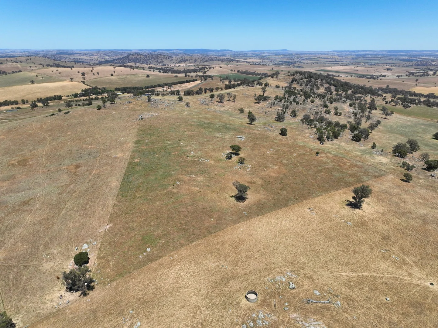 Additional image 7 of 1432 Pine Mount Road, Darbys Falls NSW 2793