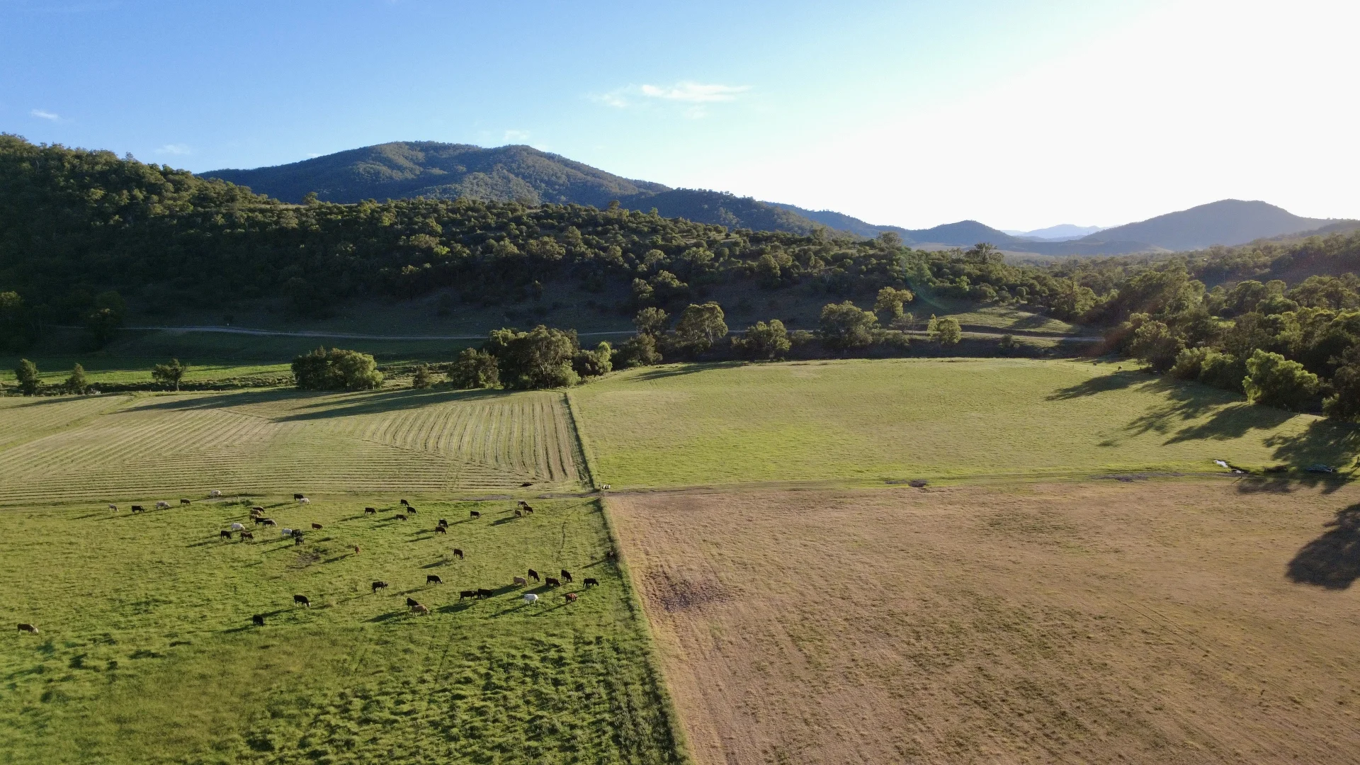 Additional image 33 of "Gap View" Wells Gully Road, Muswellbrook NSW 2333