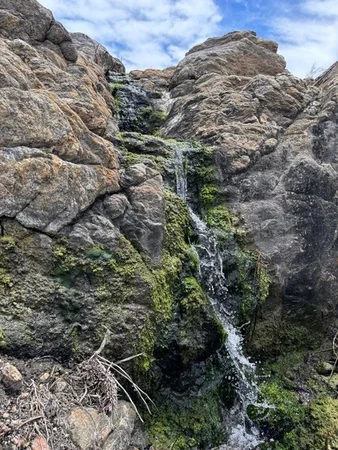 Additional image 17 of 251 Reservoir Drive, Whites Flat SA 5607