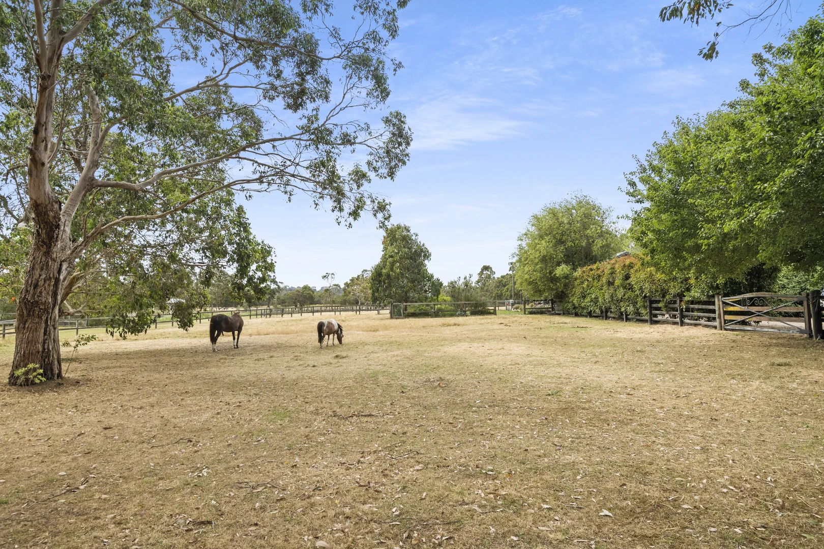 Additional image 25 of 100 Bittern-Dromana Road, Balnarring VIC 3926